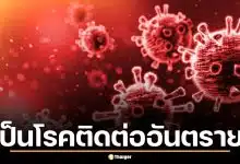 สธ. จ่อยกระดับ ไวรัสฮันตา เป็นโรคติดต่ออันตราย สั่งเฝ้าระวังด่านพรมแดน