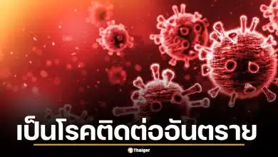 สธ. จ่อยกระดับ ไวรัสฮันตา เป็นโรคติดต่ออันตราย สั่งเฝ้าระวังด่านพรมแดน
