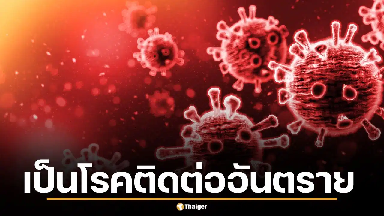 สธ. จ่อยกระดับ ไวรัสฮันตา เป็นโรคติดต่ออันตราย สั่งเฝ้าระวังด่านพรมแดน