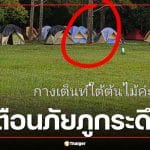 สาวช็อก! กางเต็นท์คนเดียวบน 'ภูกระดึง' ชายปริศนาอ้างเป็น จนท. ส่องไฟ-รูดซิปบุกเต็นท์ตอนเปลี่ยนเสื้อผ้า