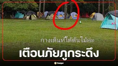 สาวช็อก! กางเต็นท์คนเดียวบน 'ภูกระดึง' ชายปริศนาอ้างเป็น จนท. ส่องไฟ-รูดซิปบุกเต็นท์ตอนเปลี่ยนเสื้อผ้า