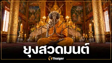 "ยุงสวดมนต์" คืออะไร? ไขกระแสไวรัล ทำเอาชาวพุทธฮือฮา