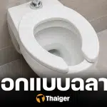 ผู้ชายชอบมาก ฝารองชักโครก "เว้าตัวยู" รู้ที่มาต้องทึ่ง ไม่ใช่เรื่องลามก