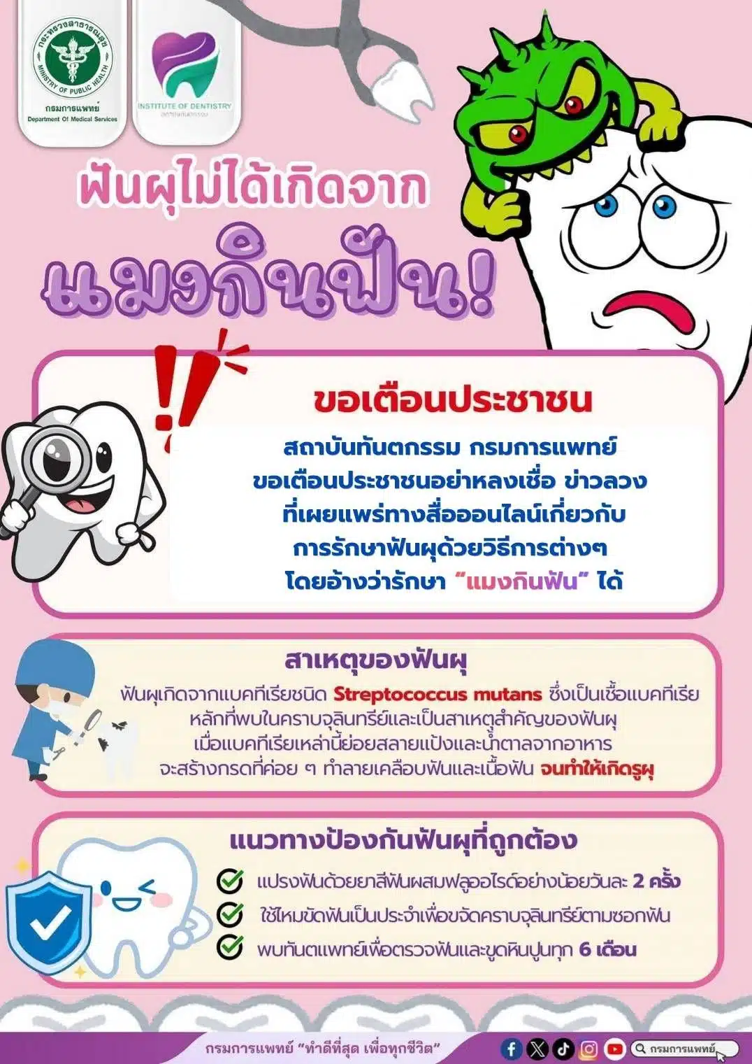 อินโฟกราฟิก ชี้แจงข้อเท็จจริงเกี่ยวกับ แมงกินฟัน