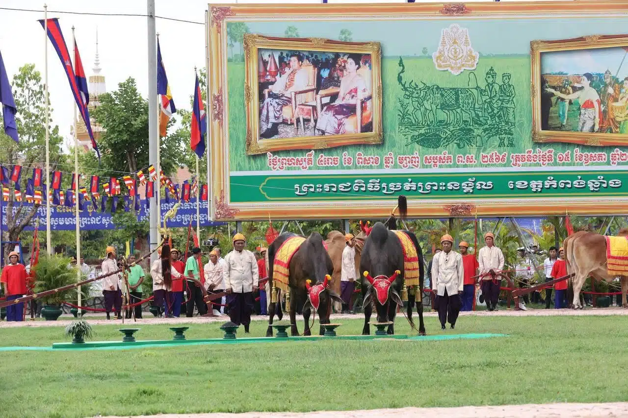 กัมพูชา ยกเลิก พระราชพิธีจรดพระนังคัลแรกนาขวัญปี 2026 เหตุ กษัตริย์สีหมุนี ประชวร-2