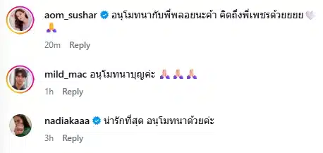 คนบันเทิงและแฟนคลับร่วมอนุโมทนาบุญ