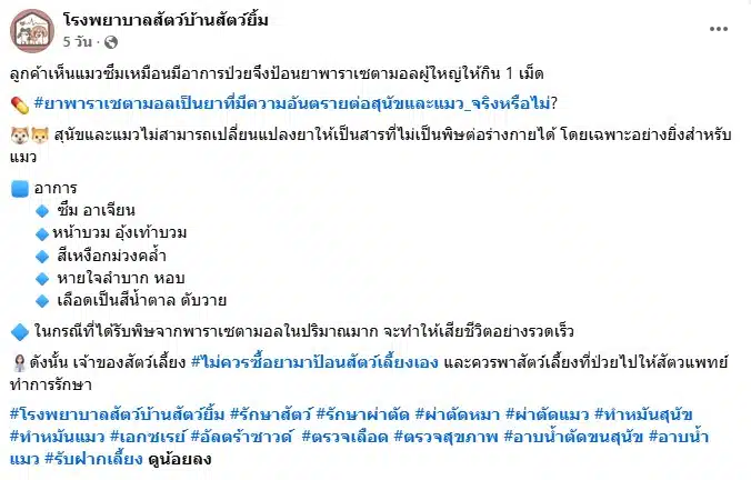 โพสต์เตือนภัยจากรพ.สัตว์บ้านสัตว์ยิ้มเรื่องอันตรายของยาพาราเซตามอลในแมว