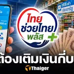 สอนวิธีเติมเงิน ไทยช่วยไทยพลัส เติมเองเท่าไหร่ รัฐช่วยจ่ายกี่บาท