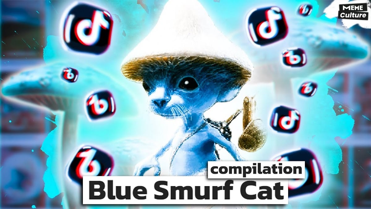 DJ Party Cat - Coub - The Biggest Video Meme Platform