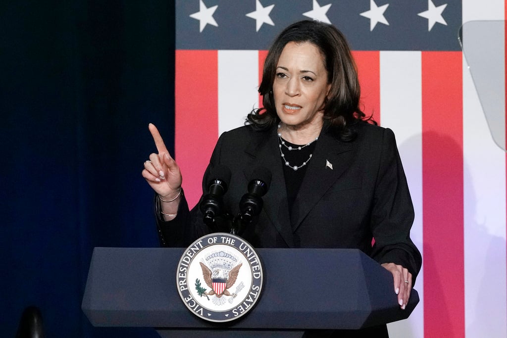 Vice President Kamala Harris speaks at a campaign event