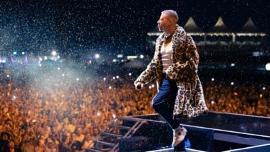 A fan experienced was arrested on stage while performing with rapper Macklemore at a festival because of an outstanding arrest warrant.