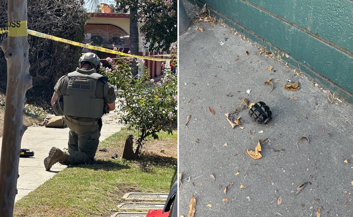 Gardener finds Russian grenades near Los Angeles