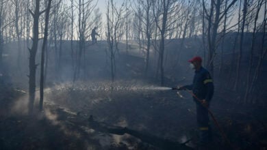 Greece battles wildfires, hundreds evacuated near Athens