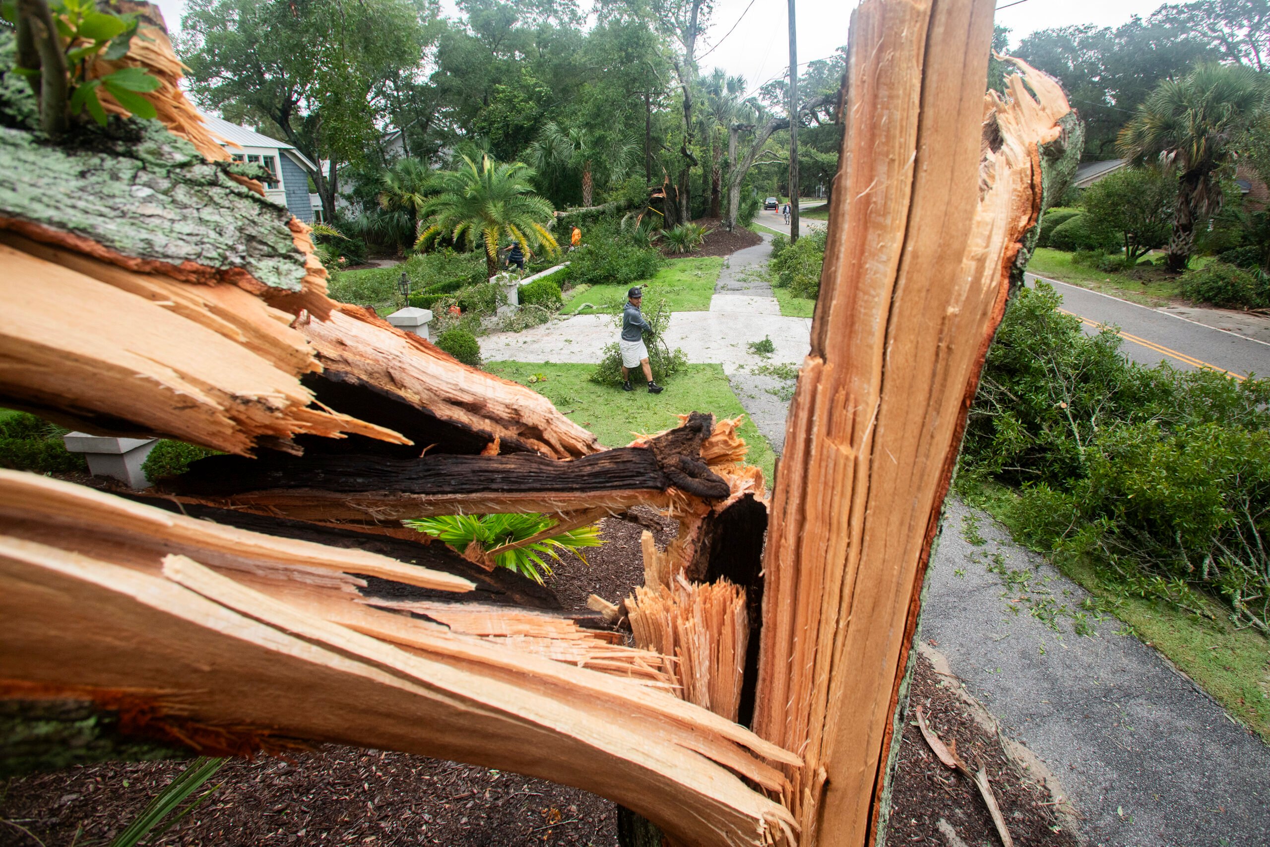 Tropical Weather Debby