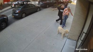 81-year-old New Yorker undeterred by random assault