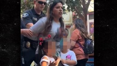 California mother arrested at Disneyland over ticket dispute