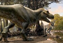 Dinosaurs' return deemed impossible by scientist