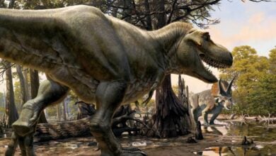 Dinosaurs' return deemed impossible by scientist