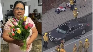 Family mourns grandmother after overpass jumper lands on car