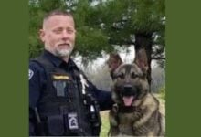 Missouri officer charged after K-9 dies in hot car