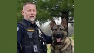 Missouri officer charged after K-9 dies in hot car