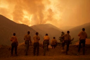 Firefighters monitor the advancing Line Fire in Angelus Oaks, Calif., Monday, Sept. 9, 2024. (AP Photo/Eric Thayer).