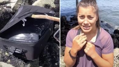 Teens discover bodies in suitcase while filming TikTok on Seattle beach