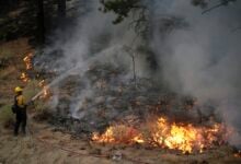 Firefighters make major progress in containing Southern California wildfires