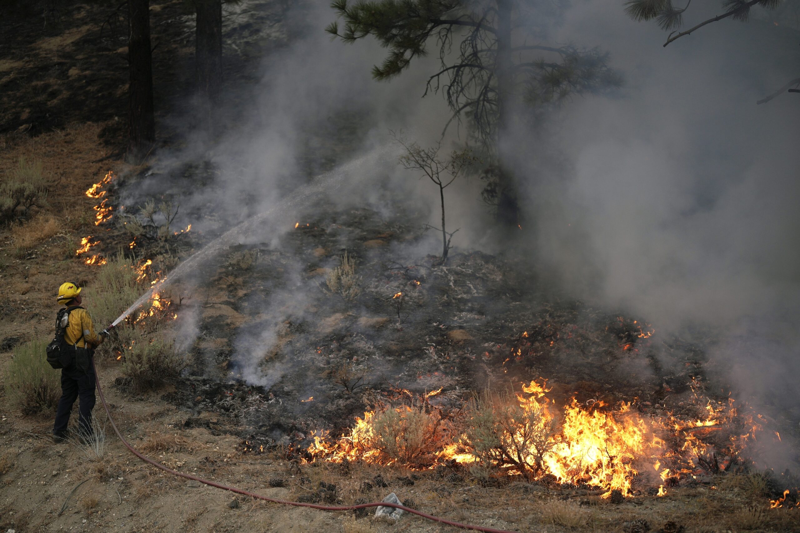 Firefighters make major progress in containing Southern California wildfires