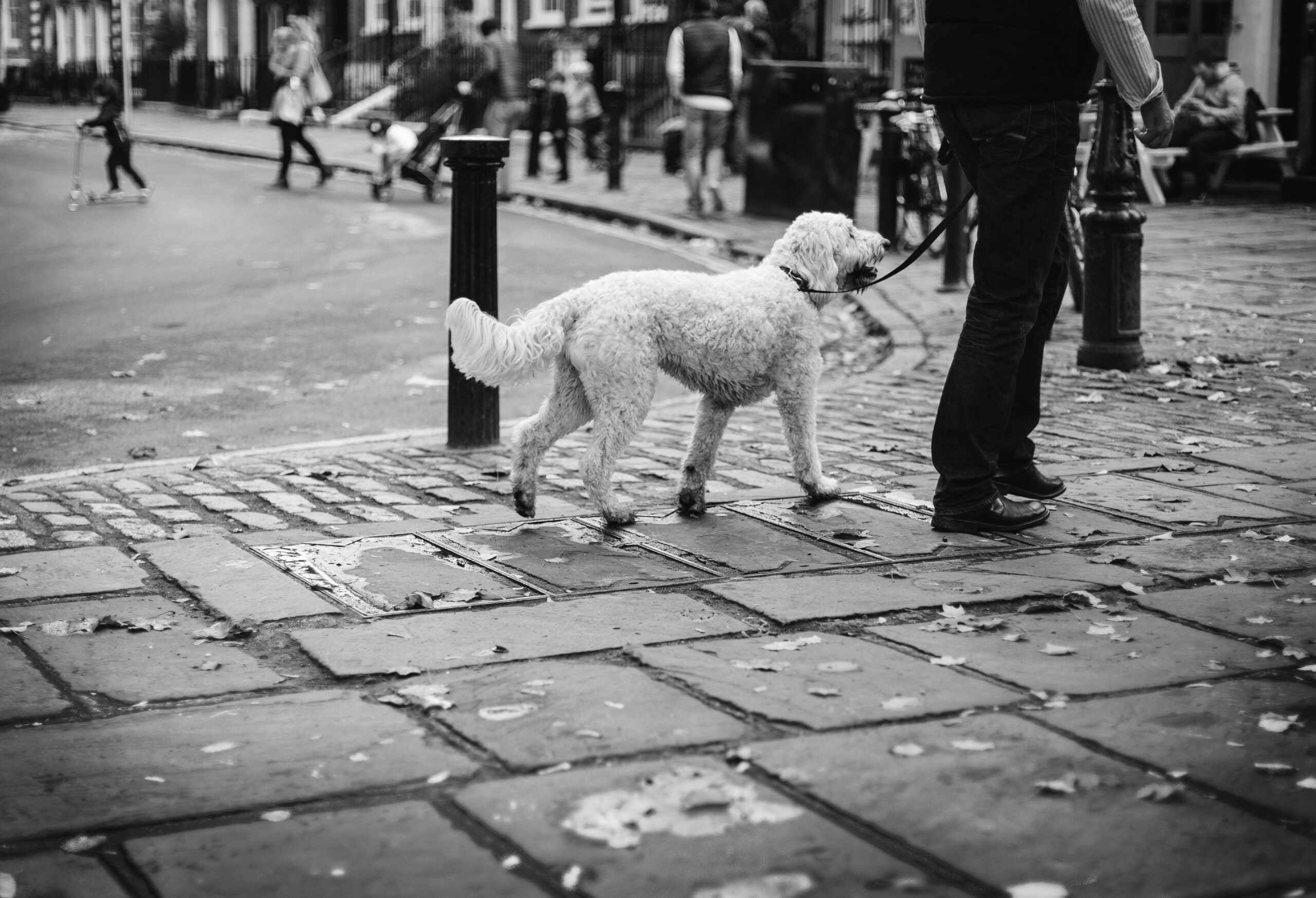 Bhim Kohli, an 80-year-old dog walker, died after an alleged assault by a group of children in a Leicestershire park.