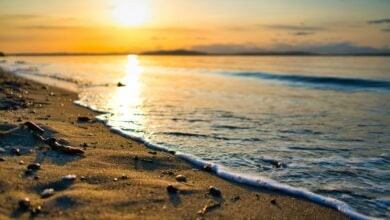 A group of teenagers on Alki Beach in West Seattle discovered a suitcase containing human remains while filming TikTok content.