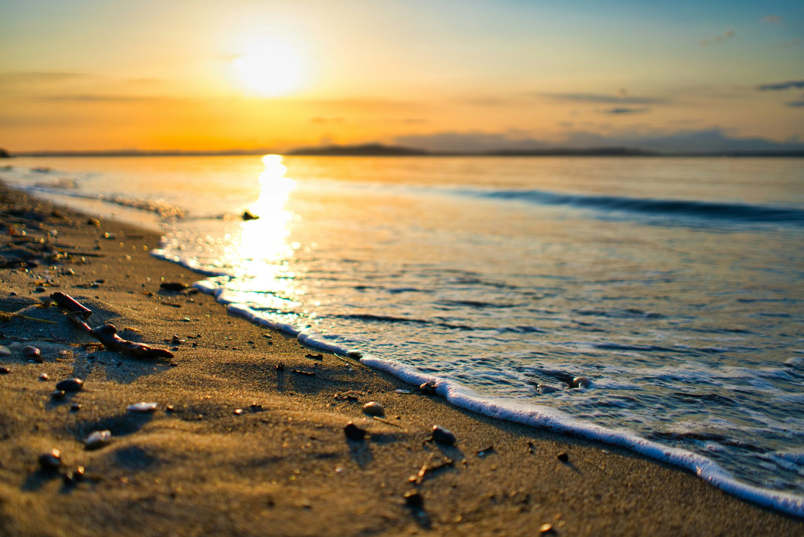 A group of teenagers on Alki Beach in West Seattle discovered a suitcase containing human remains while filming TikTok content.