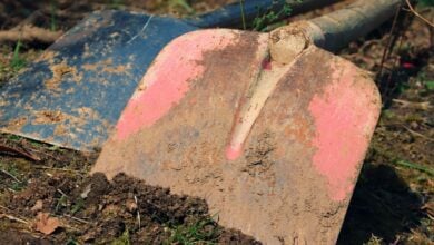 A man from Orangeburg, South Carolina, faces murder charges after police found the remains of his former roommate buried under a fire pit in his backyard.