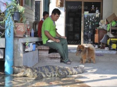 “Croc-o-duo’ free to roam family home