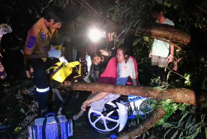 Phuket storm pins woman under tree, more rain forecast