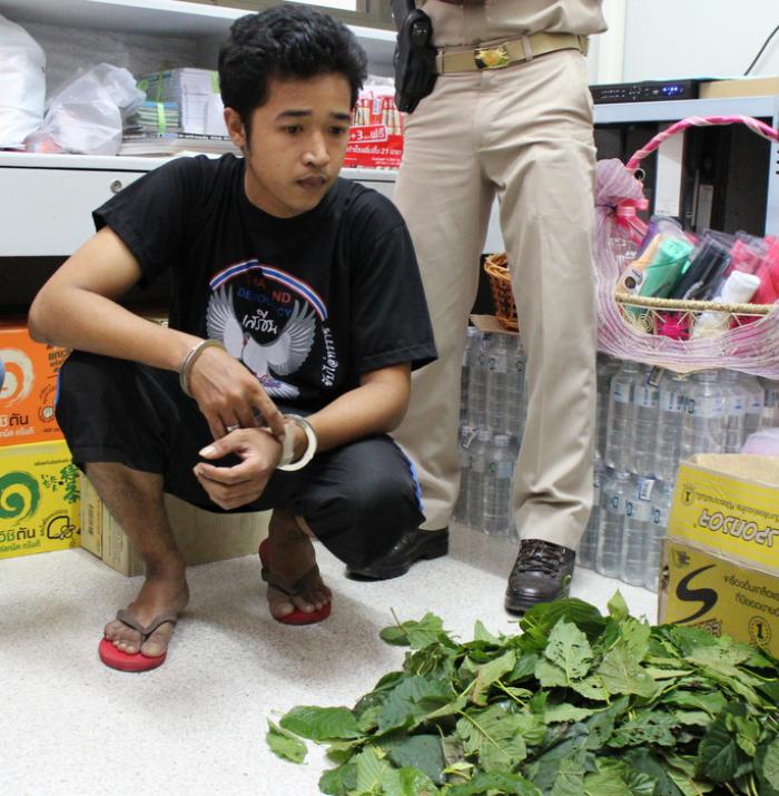 Sponsor can’t prevent Phuket kratom arrest