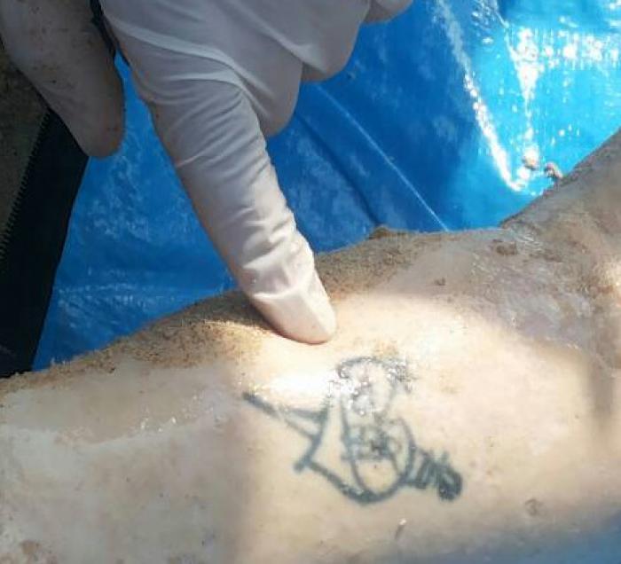 Tattooed body found off Phuket beach, believed to be foreigner