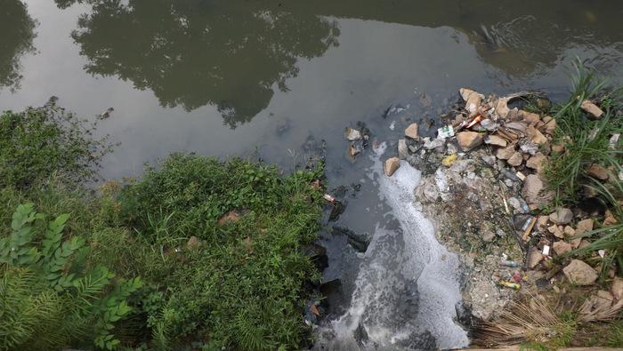 Phuket residents warned about sewage dumping