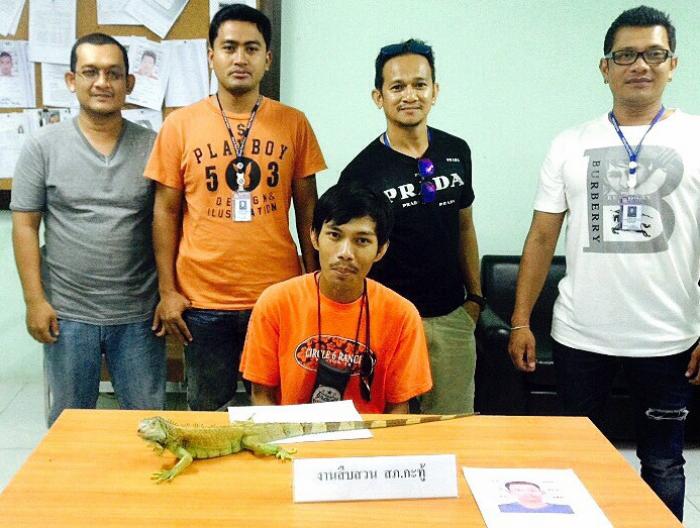 Patong police snare iguana touts on Soi Bangla