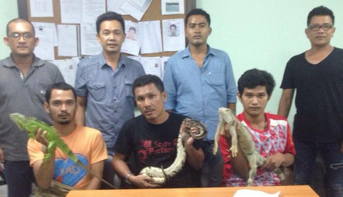 Phuket officers continue to wage war against animal touts