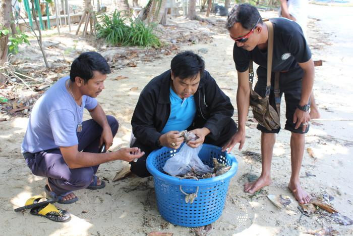 Black market coral trade takes hit as police seize more than 600 live samples in Phuket