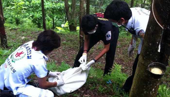 Body of newborn found in Phuket rubber plantation