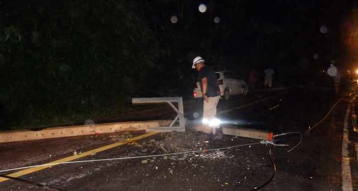 Heavy weather continues: Two Phuket drivers escape injury as wind levels trees