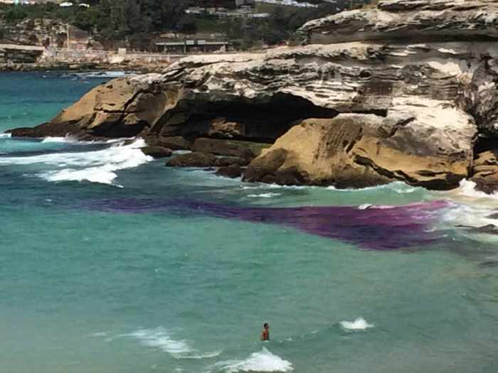 Aussie surf safety expert to teach how to survive Phuket’s deadly rip currents