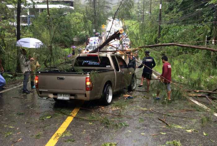 Phuket driver escapes injury as storm fells tree onto pickup truck