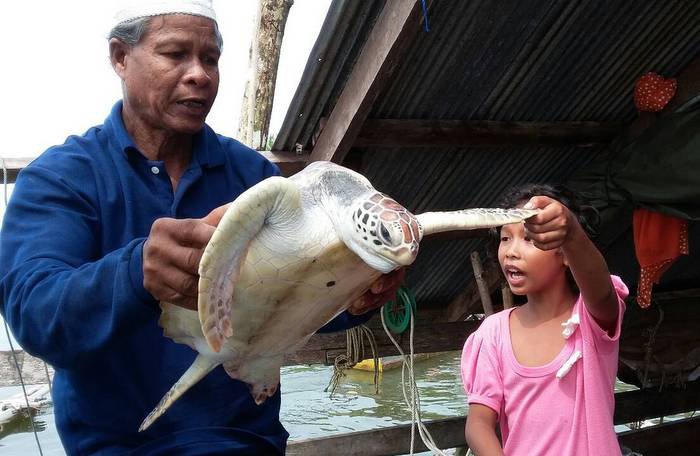 Sea turtle caught with mouthful