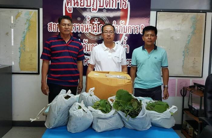 Kratom package seized at Phuket Town Post Office