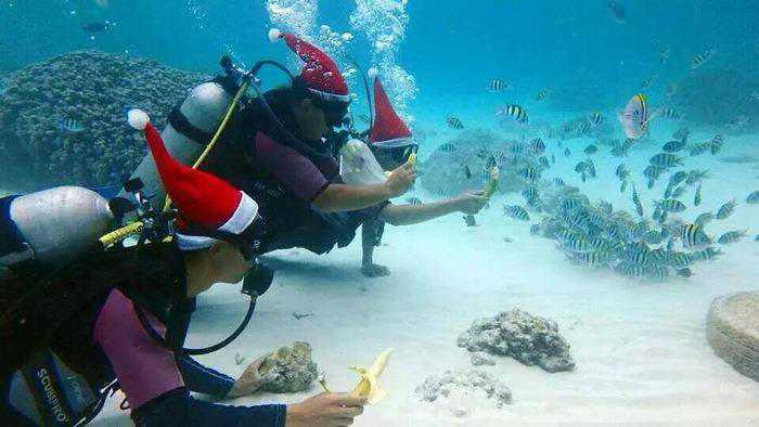 Chinese dive tour company shut down at Koh Racha