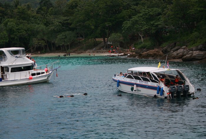 Phi Phi management plan tackles anchors on corals, feeding fish