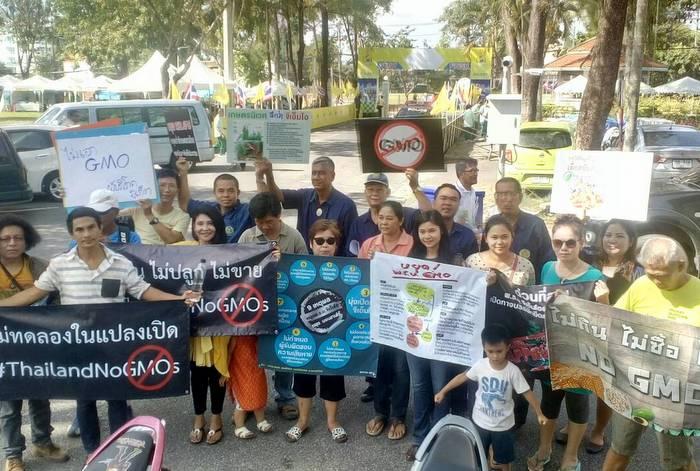 Phuket farmers denounce GMO bill